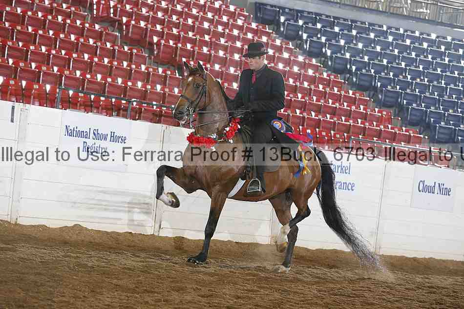 Proof 13buck_6703