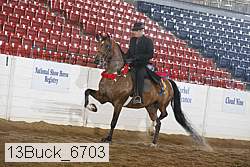 13buck_6703 proof