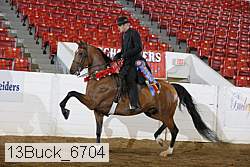 13buck_6704 proof
