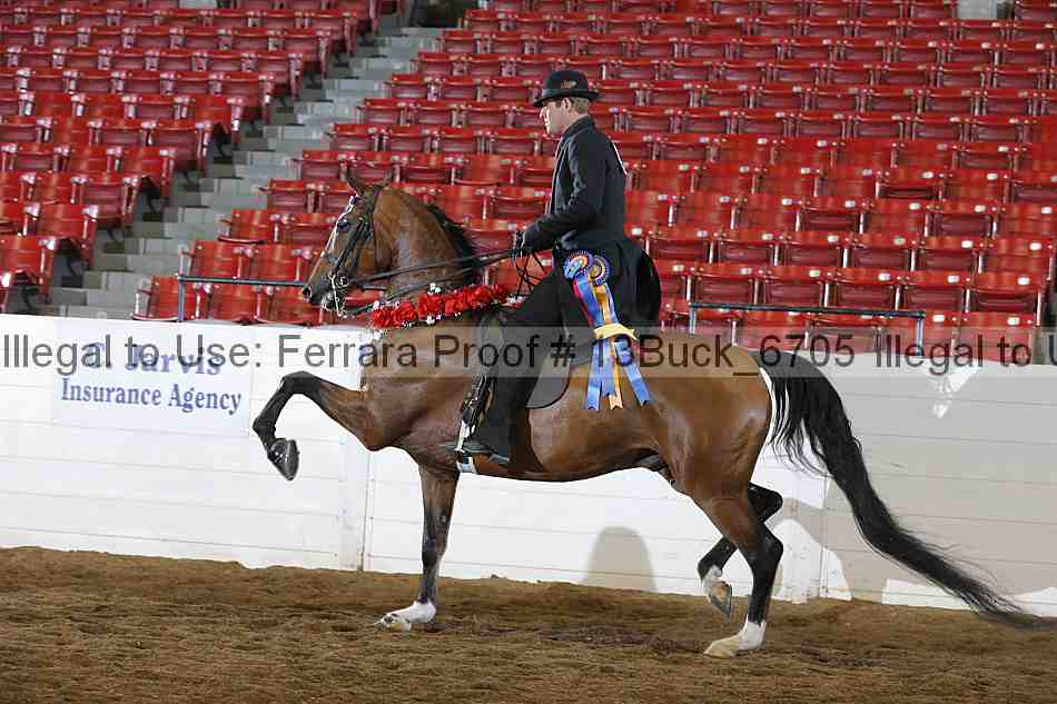 Proof 13buck_6705