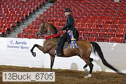 13buck_6705 proof