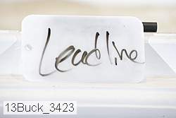 13buck_3423 proof