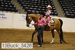 13buck_3426 proof