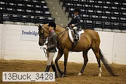 13buck_3428 proof