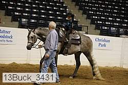 13buck_3431 proof