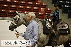 13buck_3432 proof