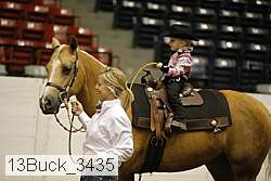 13buck_3435 proof