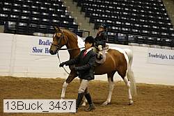 13buck_3437 proof