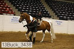 13buck_3438 proof