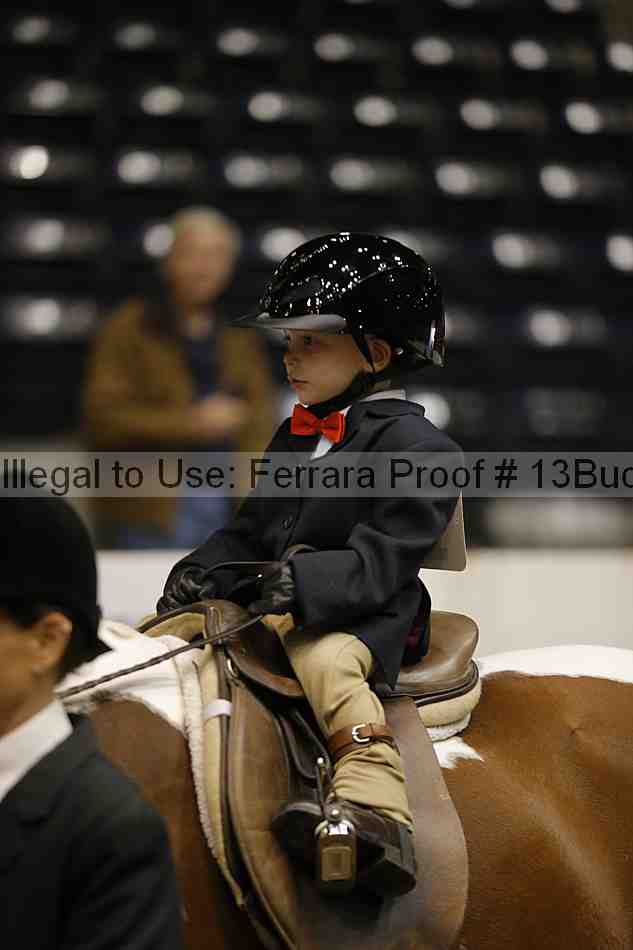 Proof 13buck_3456