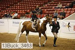 13buck_3463 proof