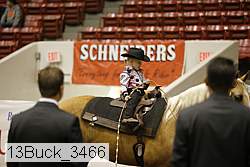 13buck_3466 proof