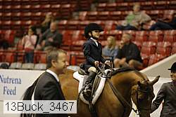 13buck_3467 proof