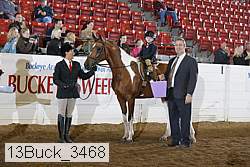 13buck_3468 proof