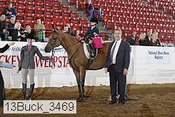 13buck_3469 proof