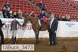 13buck_3473 proof