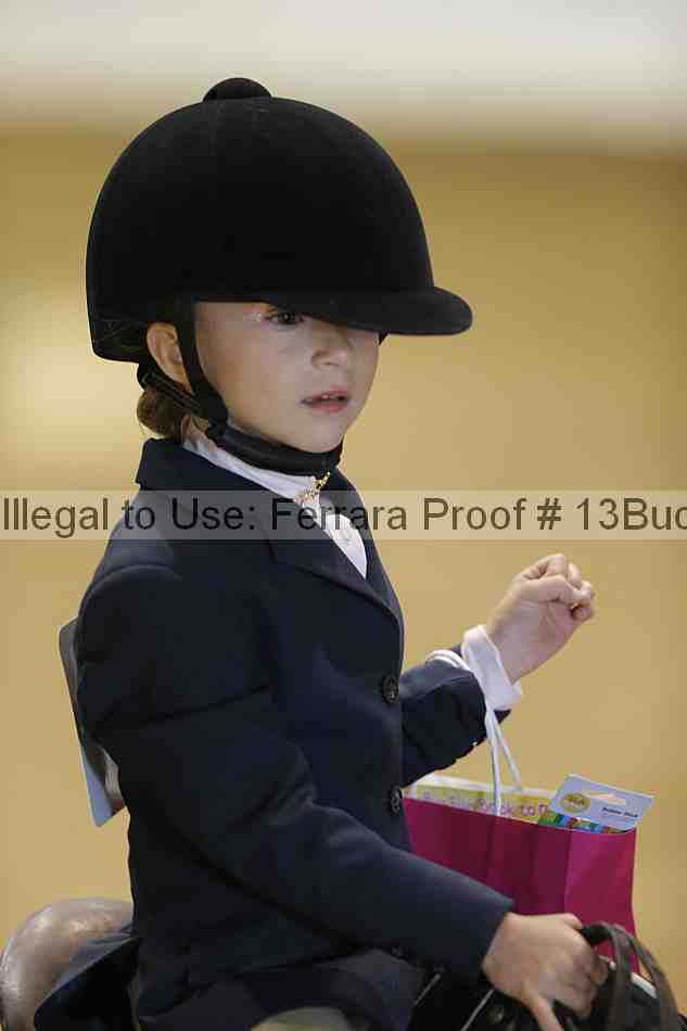 Proof 13buck_3481