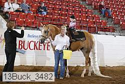 13buck_3482 proof
