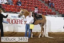 13buck_3483 proof