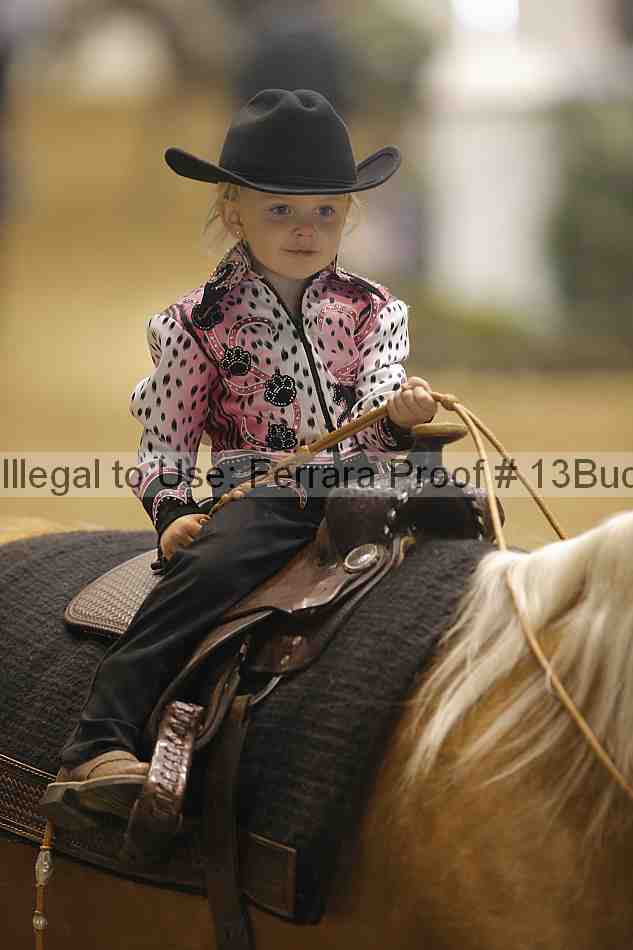Proof 13buck_3485