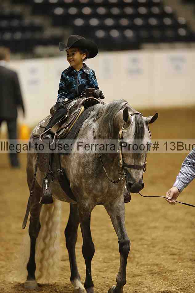 Proof 13buck_3495