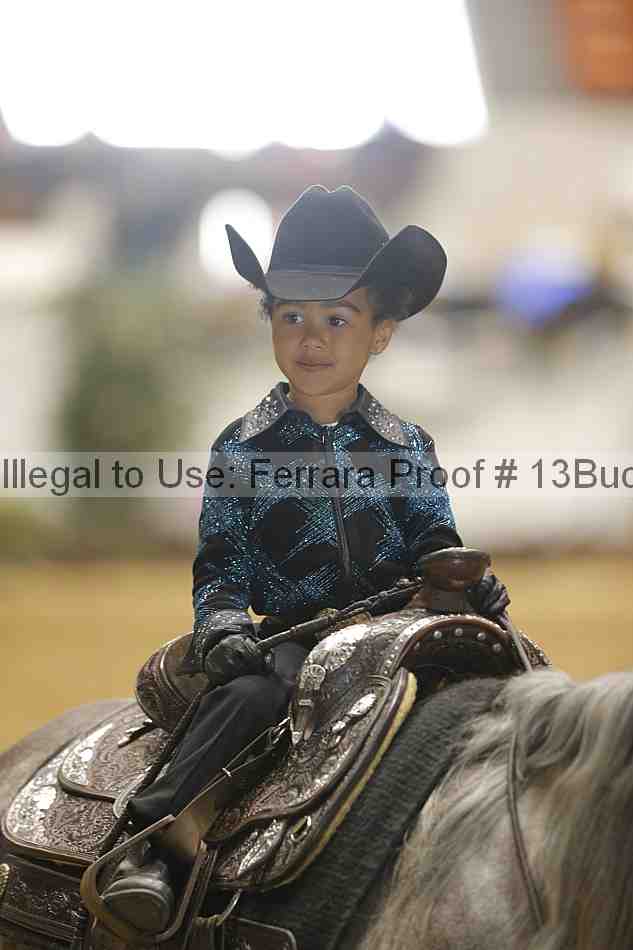 Proof 13buck_3496