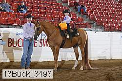 13buck_3498 proof