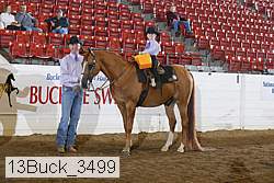 13buck_3499 proof
