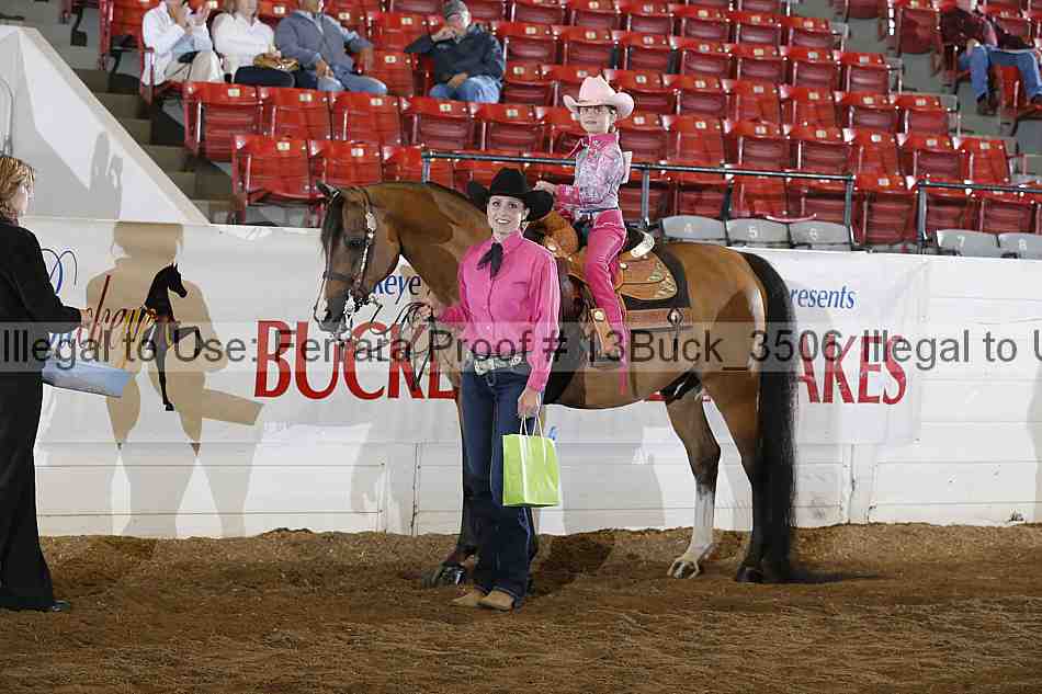 Proof 13buck_3506