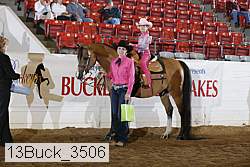 13buck_3506 proof
