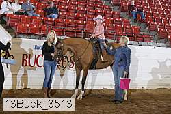 13buck_3513 proof