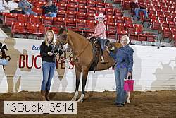 13buck_3514 proof