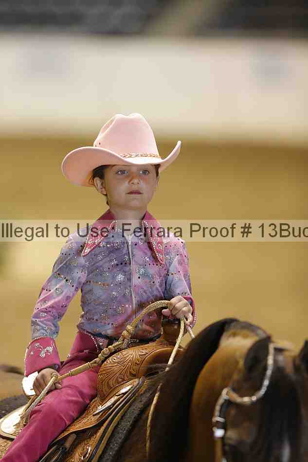 Proof 13buck_3517