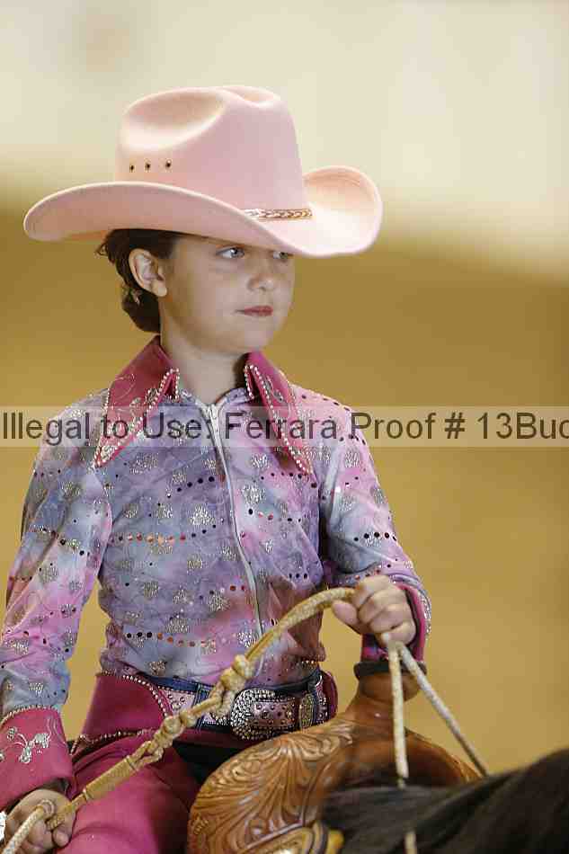 Proof 13buck_3518