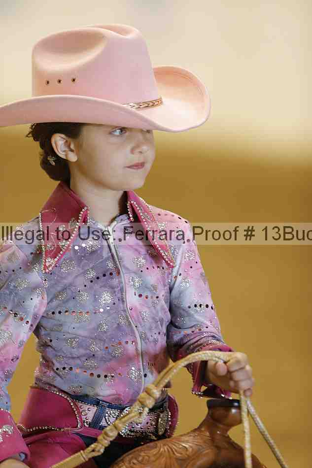 Proof 13buck_3519