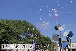 13buck_2632 proof