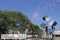 13buck_2633 proof