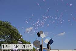 13buck_2634 proof
