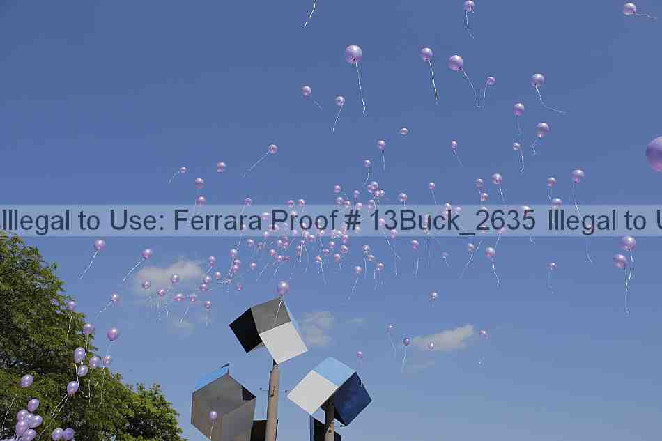 Proof 13buck_2635