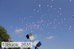 13buck_2635 proof
