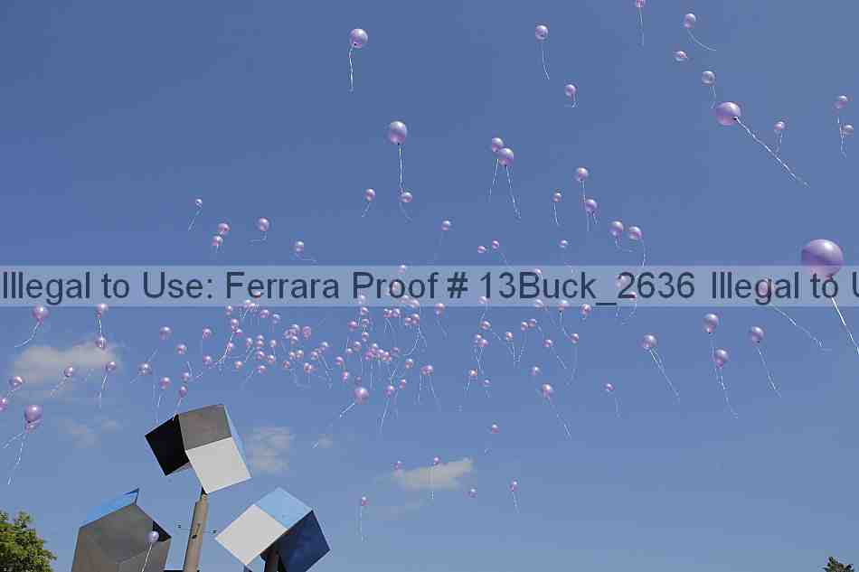 Proof 13buck_2636