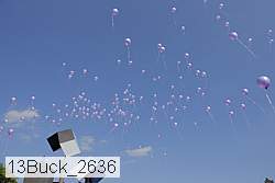 13buck_2636 proof