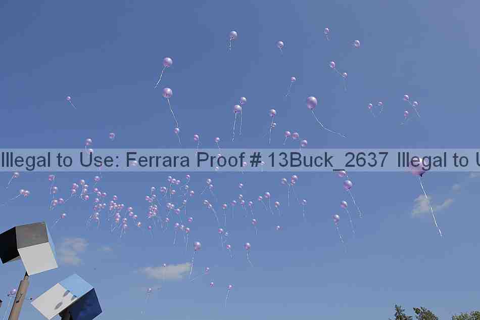 Proof 13buck_2637