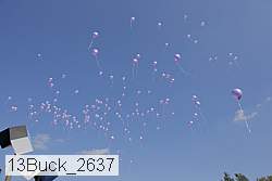 13buck_2637 proof