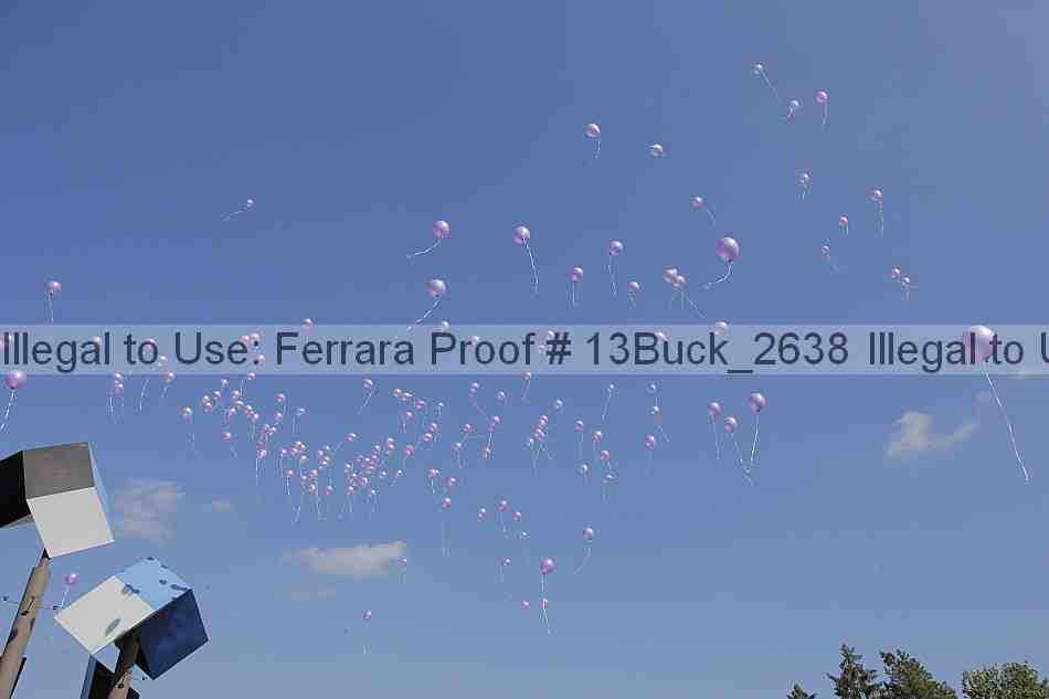 Proof 13buck_2638