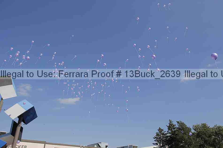 Proof 13buck_2639