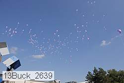 13buck_2639 proof