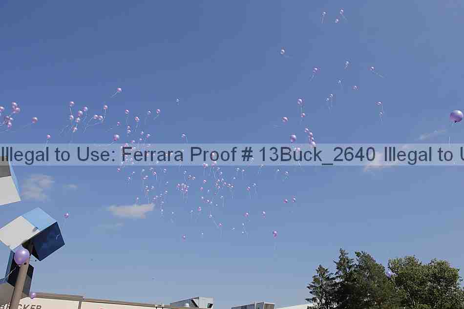 Proof 13buck_2640