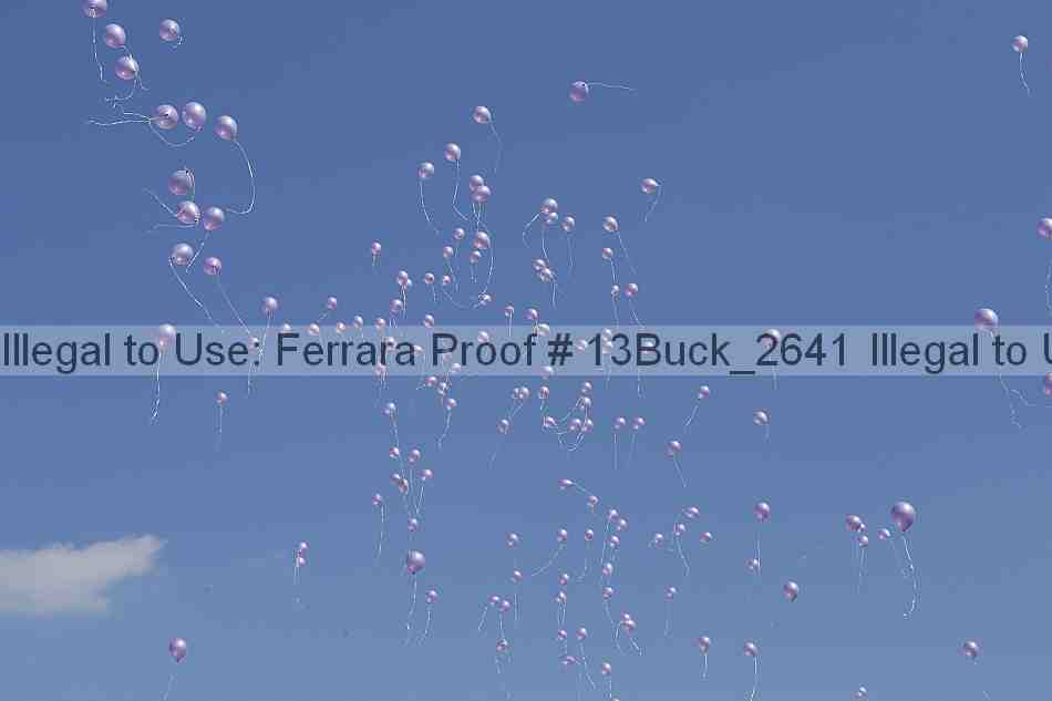 Proof 13buck_2641