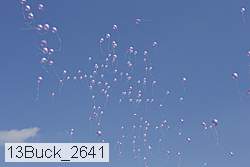 13buck_2641 proof